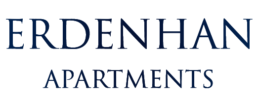 Erdenhan Logo